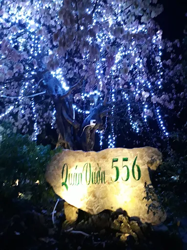 Quán vườn 556 - Hình 2
